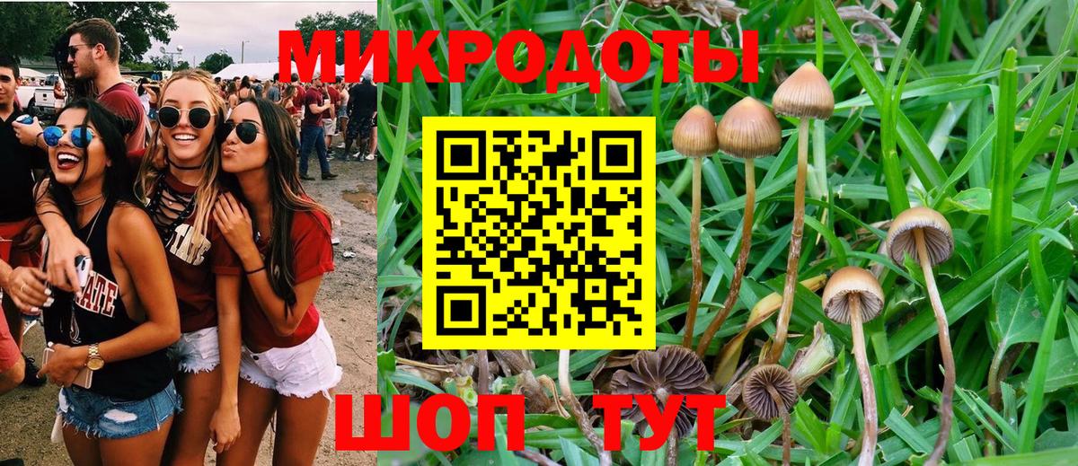 Псилоцибиновые грибы прущие грибы  Вход с VPN  Ачинск  Галлюциногенные грибы Psilocybine cubensis 